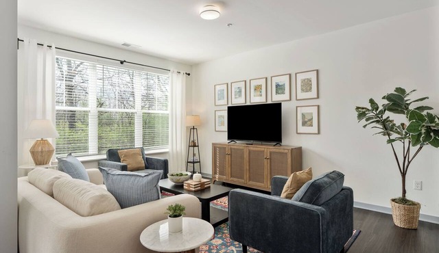 Dublin 2BR | Pets welcome | Ground Floor | Views