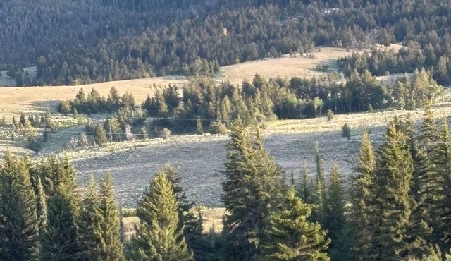 Dubois, WY., Wind River Cabin, is where your Summer or Winter adventure awaits.