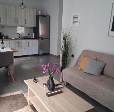 Elegance Apartments Mesologgi