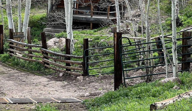 Elk Country