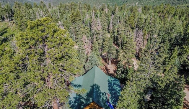 Enjoyable cabin with WiFi in the Strawberry Ridge area of Duck Creek