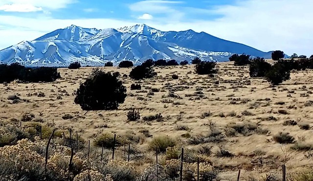 Esther Lodge - Wild, Serene & beautiful!nn