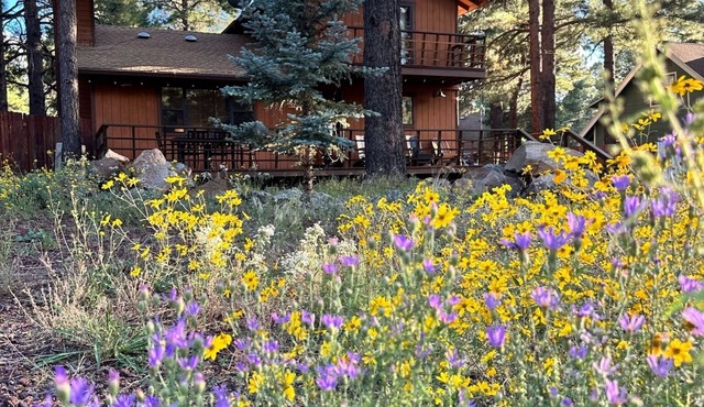 Flagstaff Pines Retreat, King Bed, Great Deck, Cool Summer Nights