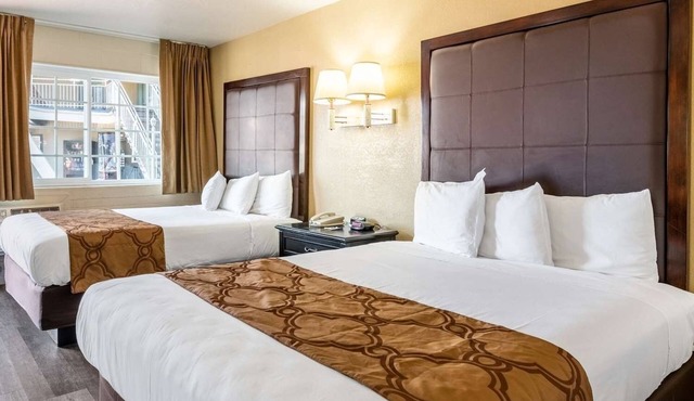 Flagstaff Retreat | Three Relaxing Rooms Perfect For Family Stay | Free Parking