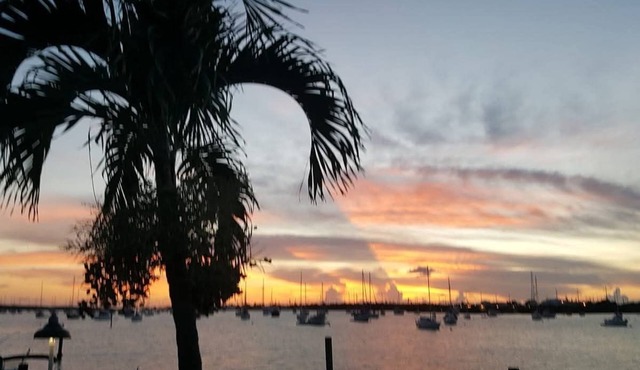 Florida Keys Gem