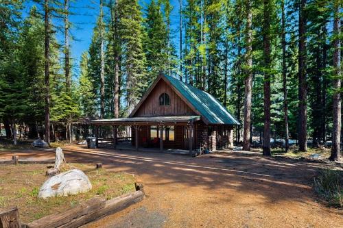 Forest Cabin