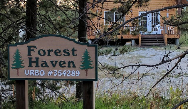 Forest Haven, a Cozy Cabin, 30 Minutes from Yellowstone!