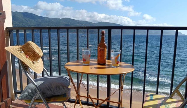 *FURTUNATU* Air-conditioned studio, turquoise sea, direct beach access, 30min from Ajaccio