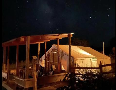 Glamping at Zion on the 9 The Dirty Dog