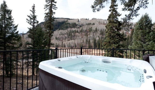 Great Outdoor Space/Views/Hot Tub/Pet Friendly/Across from Purgatory