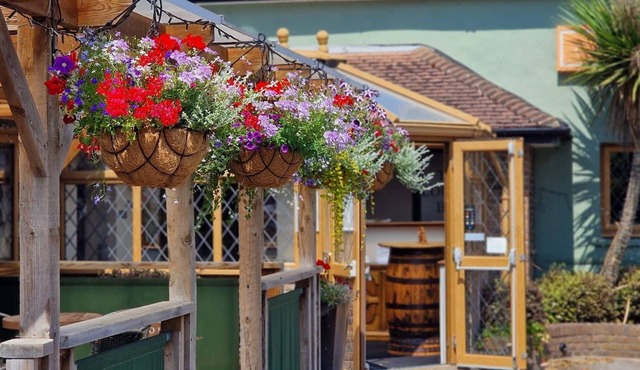 Greyhound Inn Freehouse