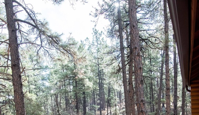 Guest house with deck in the forest west of Prescott, king bed, dog friendly