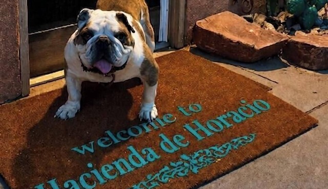 Hacienda de Horacio a 3 bedroom w/2 king beds, private patio and parking.