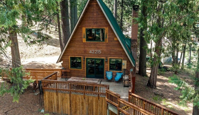 HB Hideaway ~ Boho Treehouse Vibes in the Pines