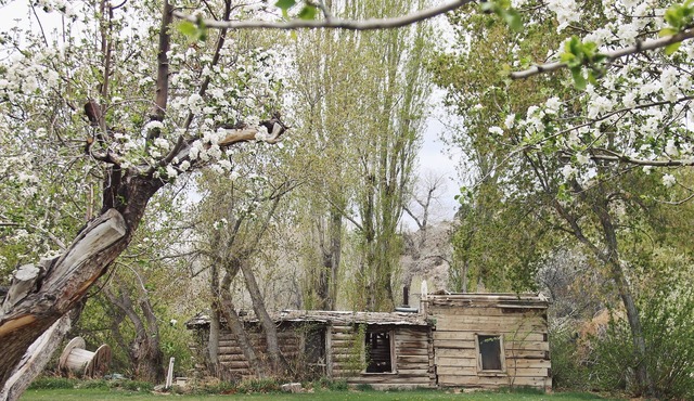 Hidden Canyon Retreat