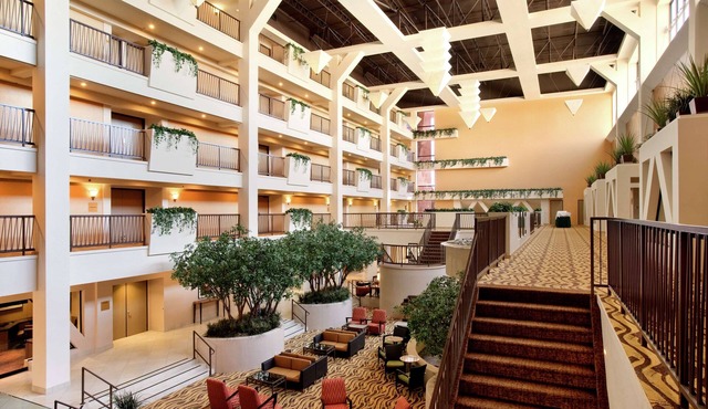 Hilton Stockton