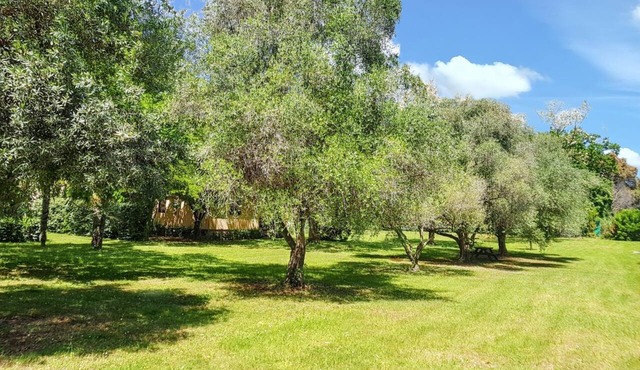 Homerez - Bungalow in Santa-Lucia.