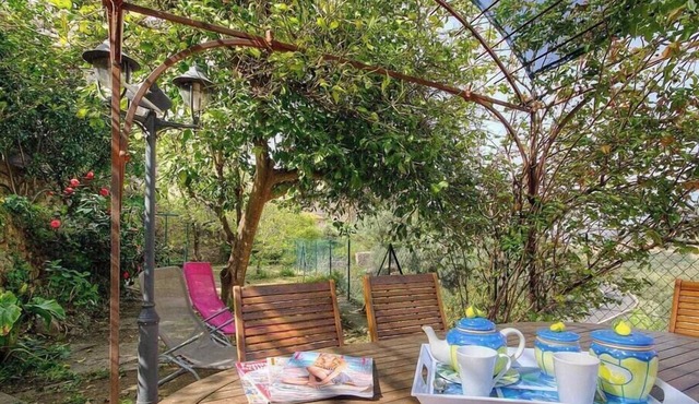 In the shade of the lemon tree