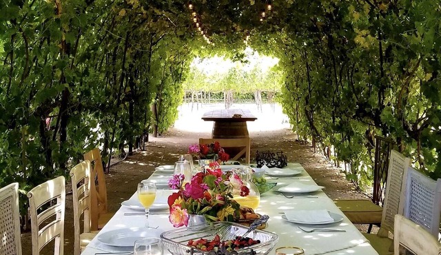 Large poolside King suite with private entrance-Villa Riposo Winery