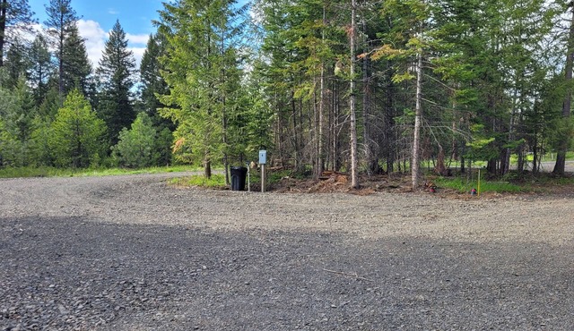 Large RV site with full hookups on 16 wooded acres. Site B.