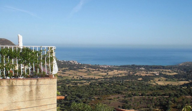 Le 51364 - AREGNO - Gîte