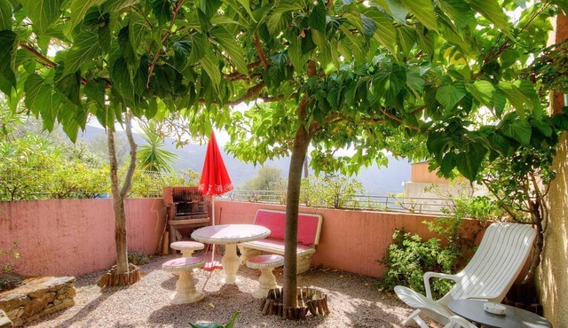 Le 62601 - LAMA - Gîte