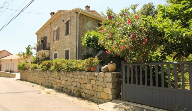 LE CEDRAT UN - CASAGLIONE