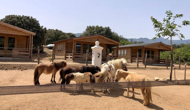 'Les Chalets De Tesa' with Mountain View, Wi-Fi, and Air Conditioning