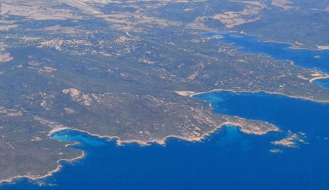 les Figuiers