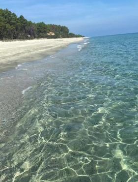 Les pieds dans l eau de Betty Ghisonaccia plage 50 m
