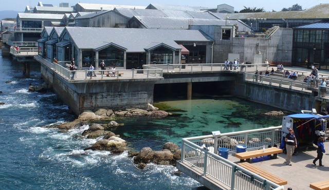 Little Jewel Box, Voted Top Monterey Rental, 12 Blocks to Ocean,