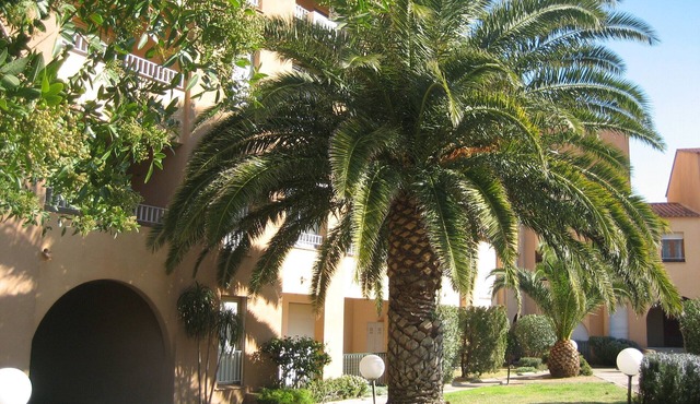 Location été L'ile-rousse
