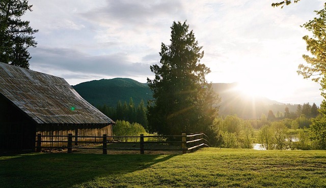 Longhorn Cabin- Chapman Springs