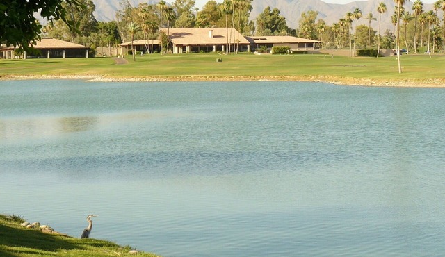 Loveliest views in Scottsdale area. Tranquil retreat in middle of everything.