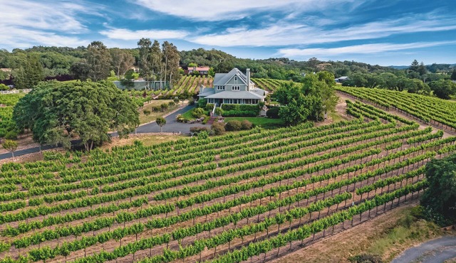 Lytton Station Vineyard - Stunning 360-degree vineyard views