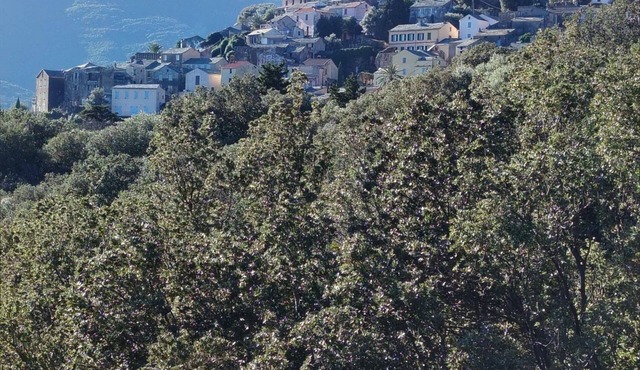 Macinaggio Vacation Home, 5 Minutes from the Beach