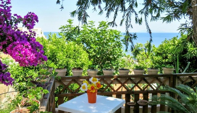 Maison de 2 chambres a Ville di Pietrabugno a 600 m de la plage avec vue sur la mer jardin clos et wifi
