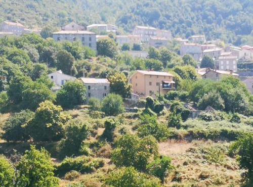 Maison de village avec jardin privatif