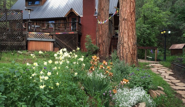 Mineshaft, Creek front, Hot Tub, Close to Town, Ski Area 20 miles