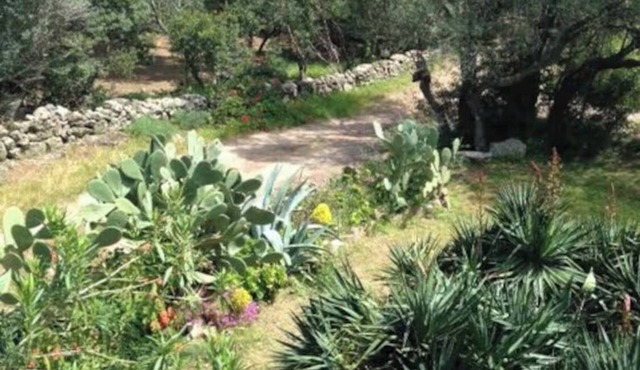 MINI VILLA ST CYPRIEN