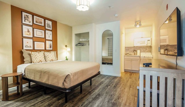 Modern Oasis | Pool & Gym | Medical Pros