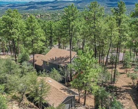 Mountain Cabin Retreat in the Pines