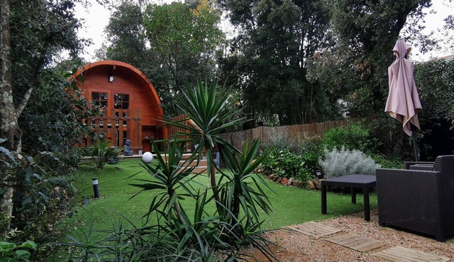 My cabin at the bottom of the garden, a cosy, comfortable and intimate wooden cocoon.
