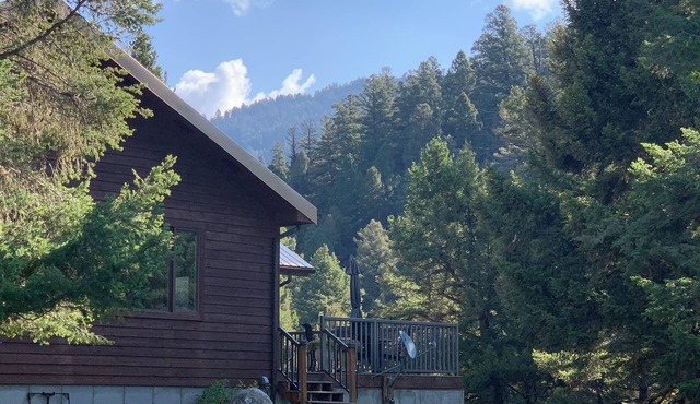 NEW! On Bear Creek~ Treed Seclusion~ Serene~ 4 Living Rooms~ 4 Miles to Gardiner