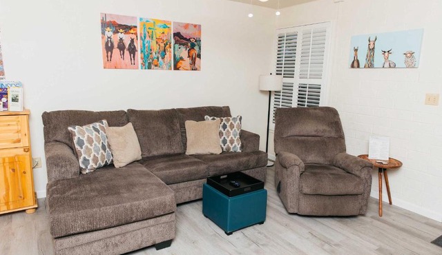 NEW Saguaro Serenity