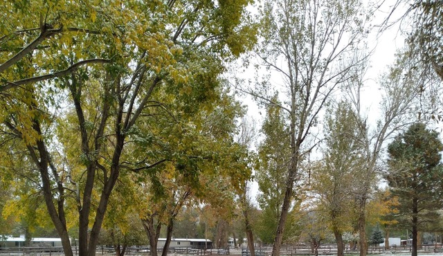 Park your RV in a 1 acre yard where mule deer and wild turkeys roam daily.