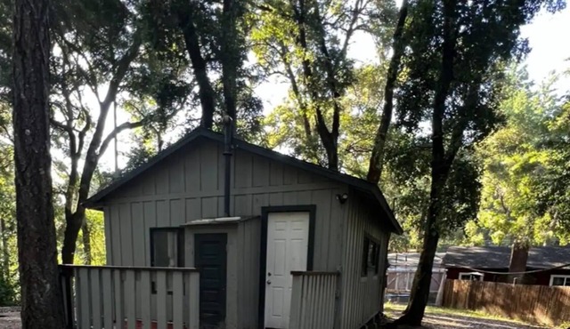 Peaceful Small Studio /Cabin is 100 years old with WiFi in La Honda Forest