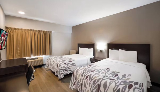 Pet-friendly Room with Relaxing Ambiance & Near Top Tucson Attractions