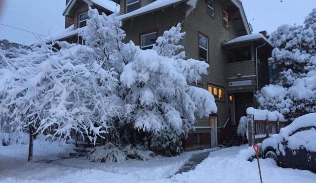 Portland International Guesthouse