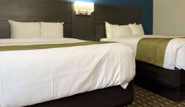 Quality Inn & Suites Louisville East